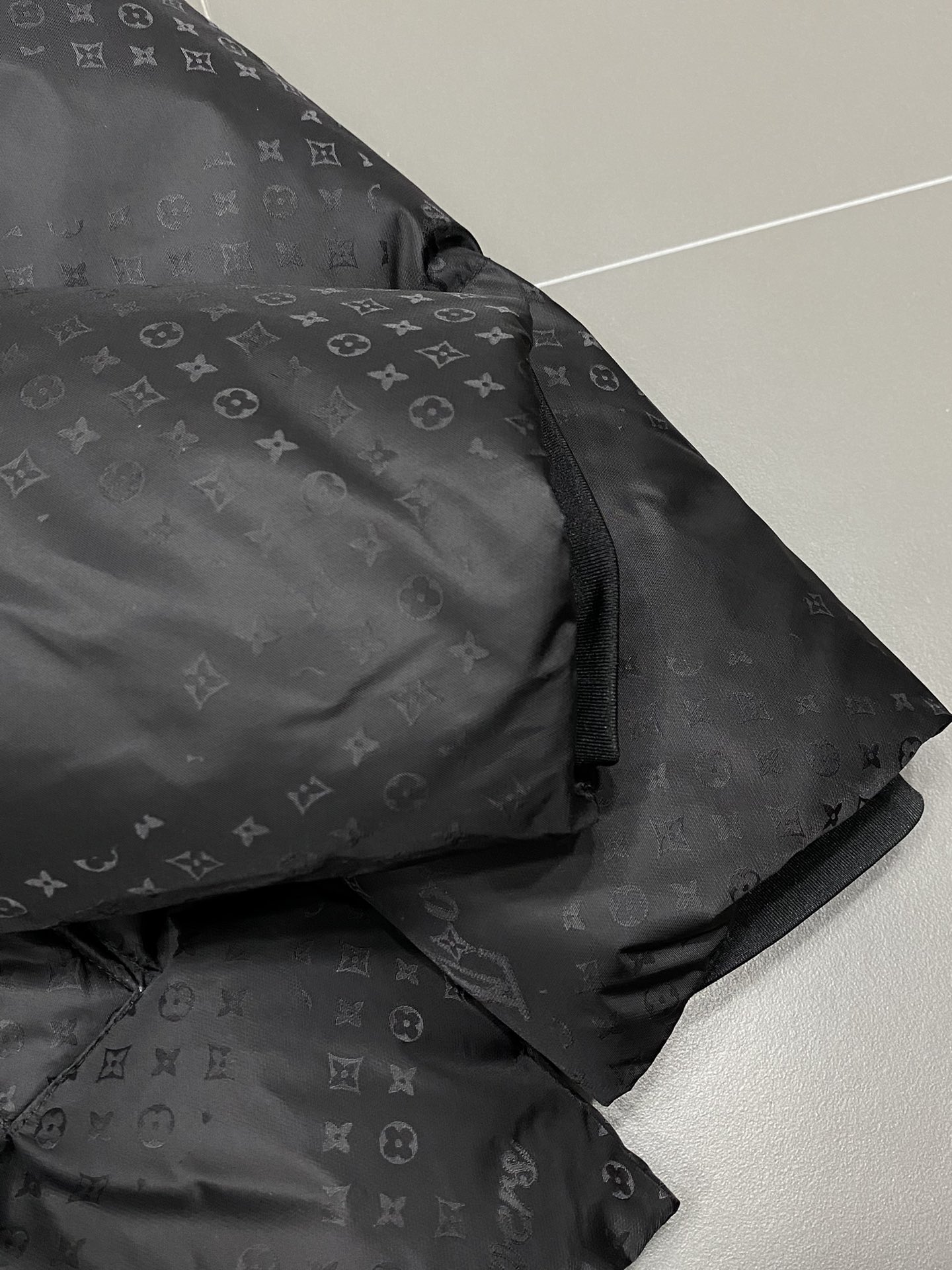 Louis Vuitton Down Jackets